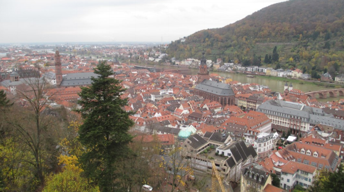 The view from an old castle in Heidelberg