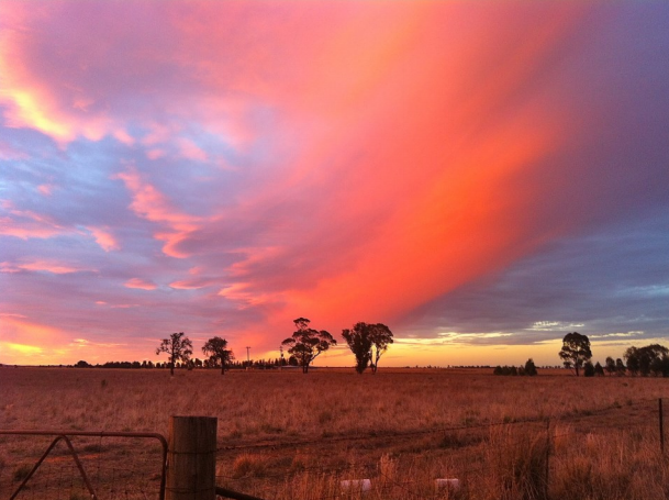 A sunset at a sheep farm in New South Wales